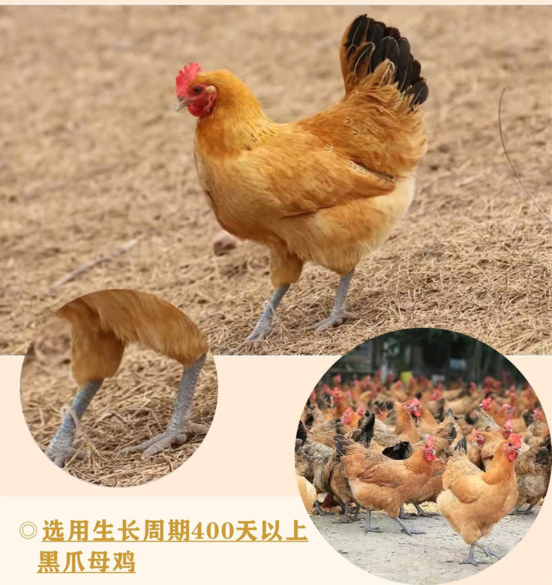 【消费帮扶】老鸡汤2.2kg
