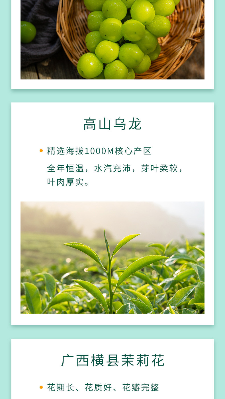 旭旦 葡萄乌龙茶冷泡袋泡茶包无糖冷萃花果茶 3g*12袋潜江直播