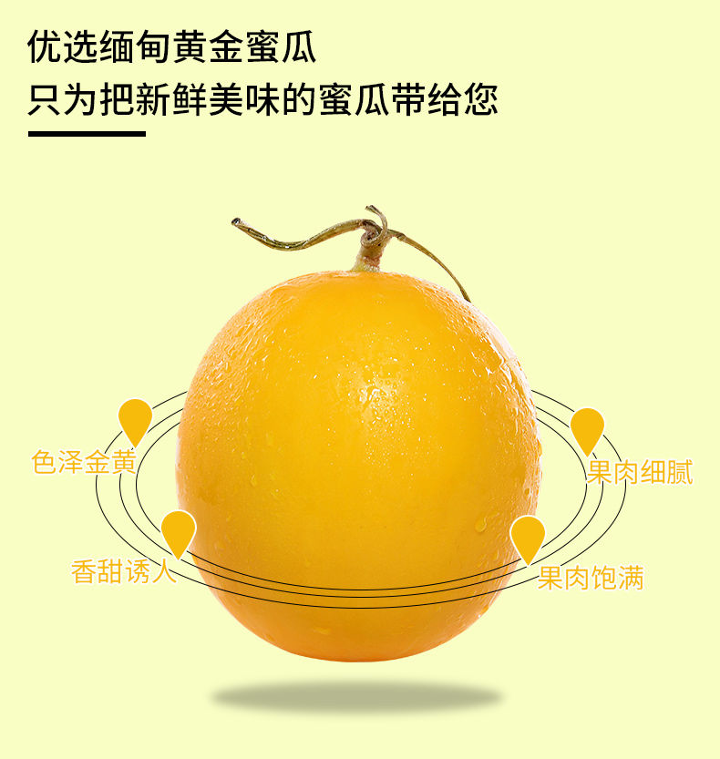 蜜瓜甜瓜黄河蜜瓜东方密黄金哈蜜瓜果园新鲜水果整箱10/5/3斤