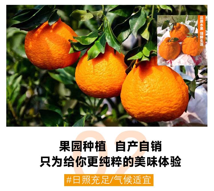 义江缘 四川不知火丑橘当季新鲜水果丑八怪柑橘整箱1桔子蜜橘子耙耙