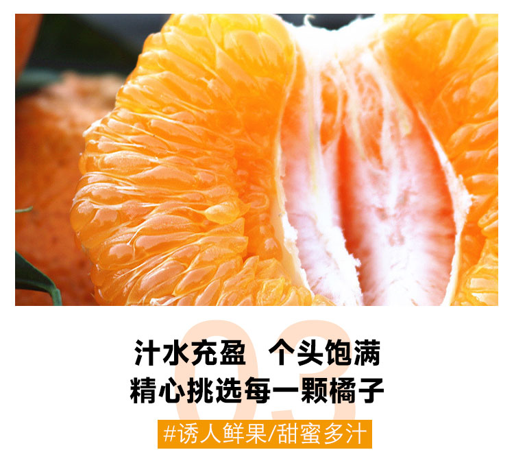 义江缘 四川不知火丑橘当季新鲜水果丑八怪柑橘整箱1桔子蜜橘子耙耙