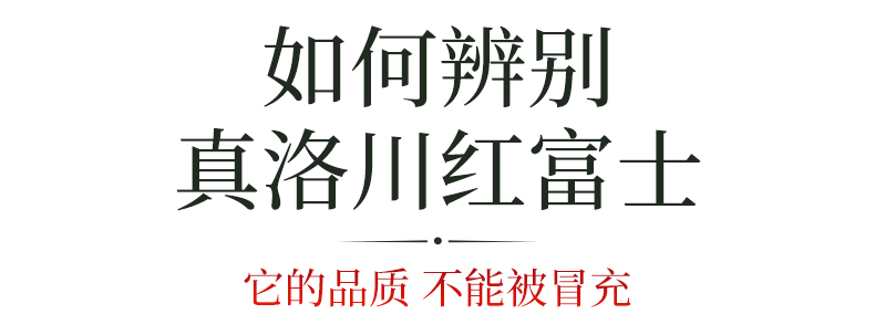 义江缘 陕西洛川红富士苹果水果新鲜水果应季孕妇水果脆甜脆冰糖心