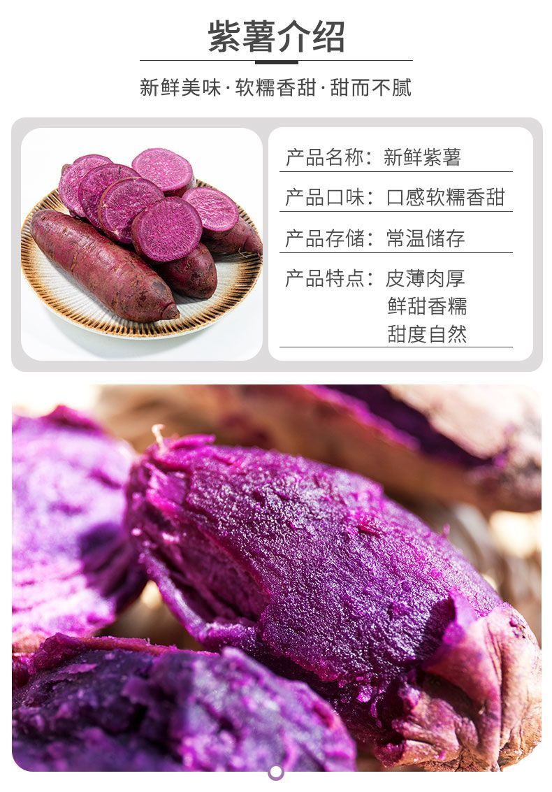义江缘 沙地紫薯新鲜沙地蜜薯糖心番薯