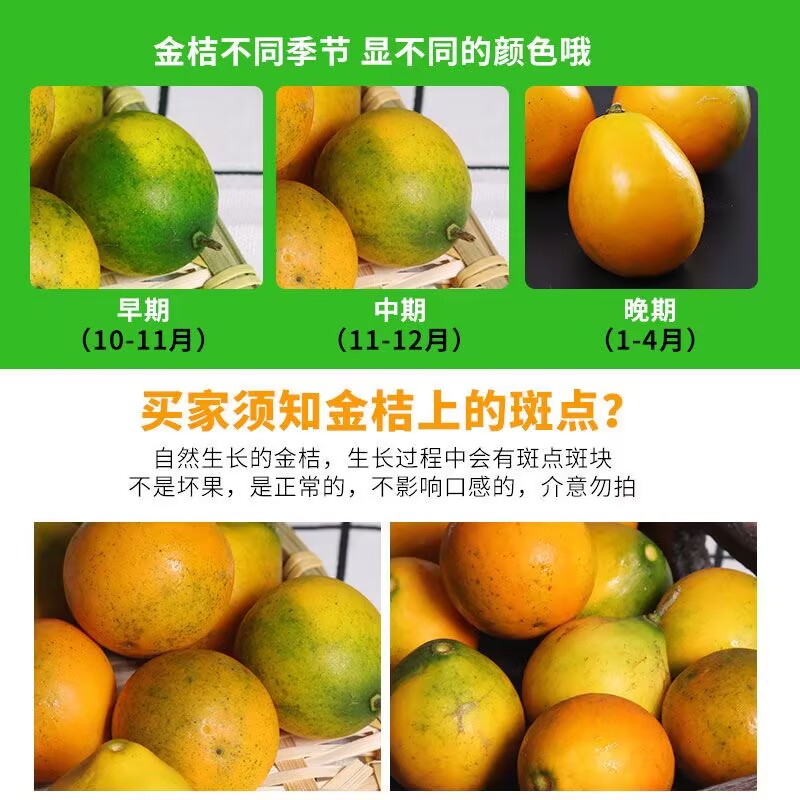 义江缘 广西桂林脆皮金桔新鲜维c水果整箱