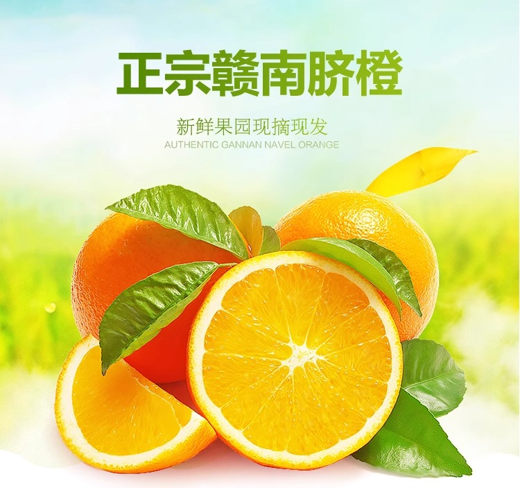 义江缘 江西赣南脐橙新鲜应季水果橙子正宗赣州甜橙