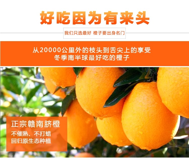 义江缘 江西赣南脐橙新鲜应季水果橙子正宗赣州甜橙
