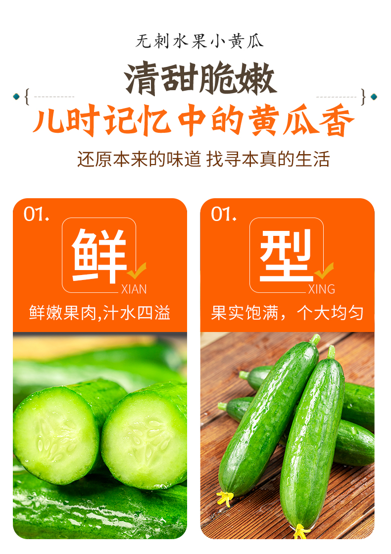 义江缘 水果黄瓜新鲜生吃小黄瓜青瓜蔬菜整箱包邮