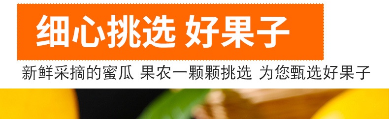 义江缘 甘肃民勤沙漠黄河蜜瓜甜瓜哈密瓜新鲜水果当季整箱