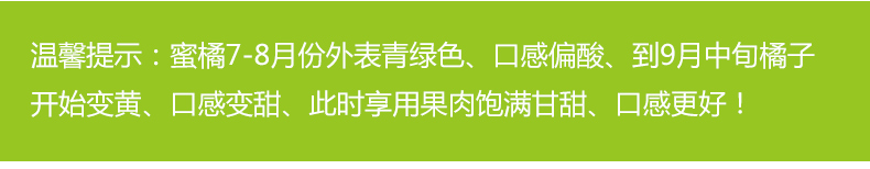 义江缘 无籽蜜桔早熟橘子新鲜甜桔子