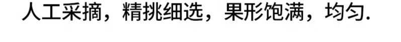 义江缘 徐香猕猴桃陕西绿心奇异果猕猴桃礼盒弥猴桃当季新鲜水果整箱