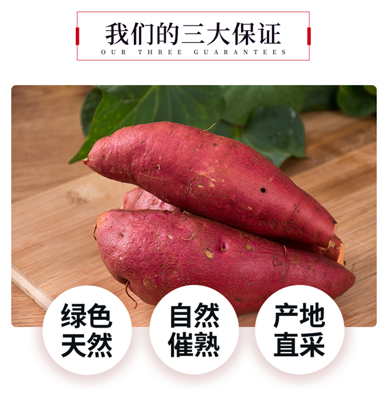 义江缘 六鳌红薯新鲜地瓜番薯农家自种沙地糖心蜜薯小山芋