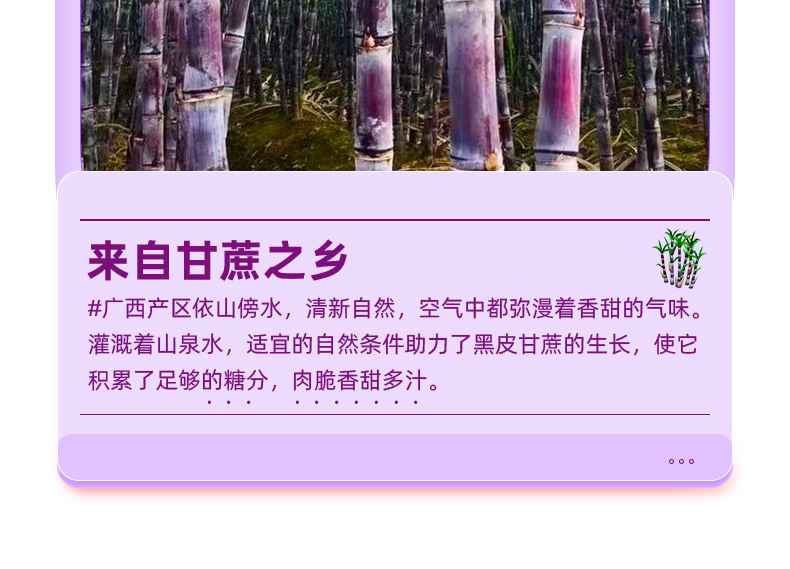 义江缘 广西黑皮甘蔗新鲜水果当季脆甜杆蔗孕妇果蔗批发特产整箱