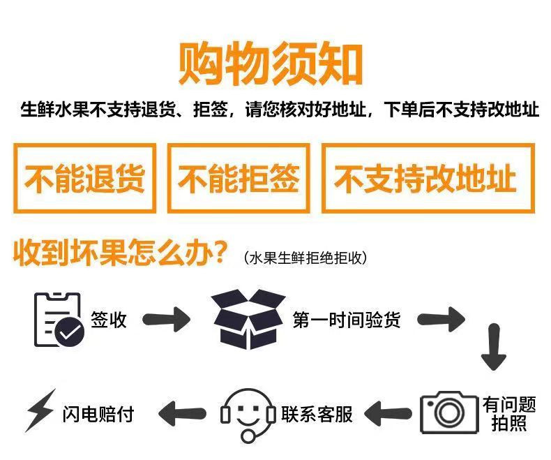 涵睿优品 黄河蜜瓜  中大果 净重4.5-5斤（2-6个）