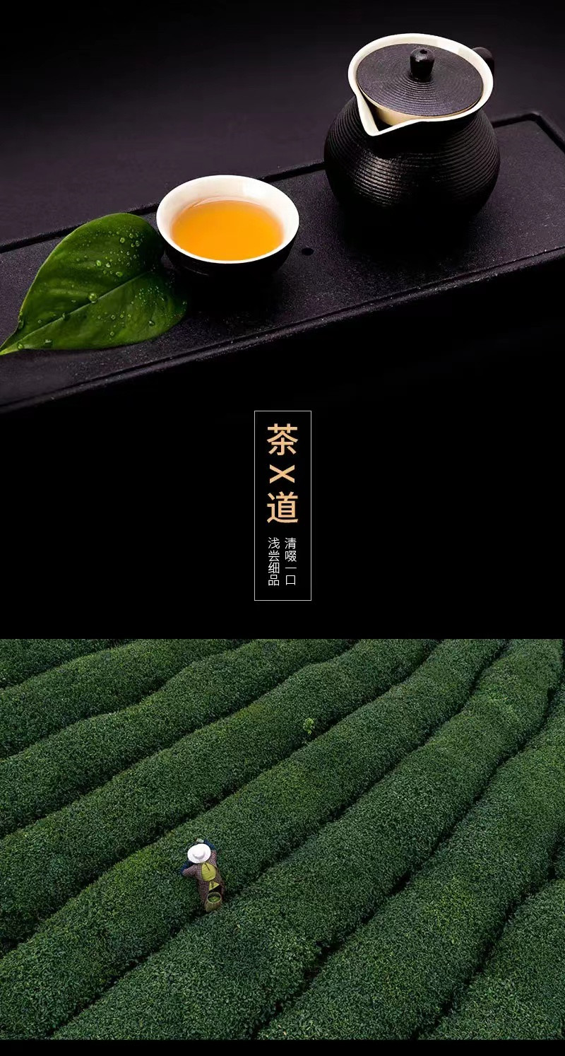 【福建邮政】理想茶 花香岩茶·肉桂/大红袍