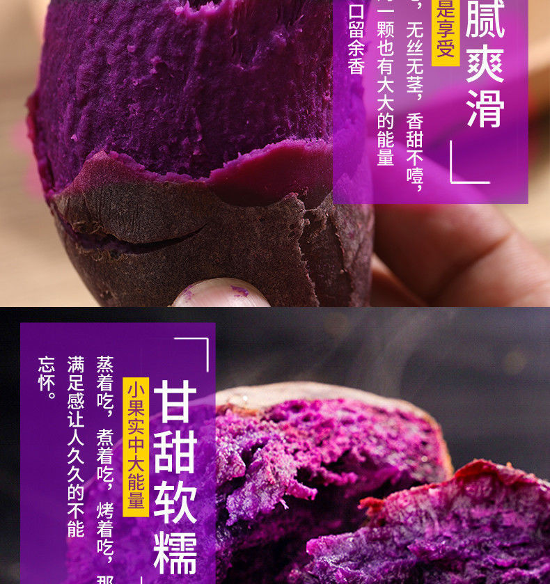 农家自产【香甜紫薯】紫薯新鲜紫罗兰红薯蜜薯番薯地瓜蔬菜批发5斤（中果10-17个）