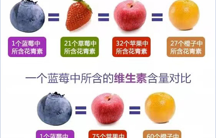 【凉邮助农】大凉山蓝莓世界水果之王