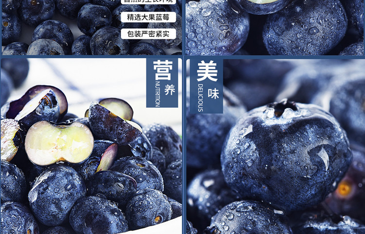 农家自产 【脆甜多汁】西昌农家种植采摘新鲜蓝莓