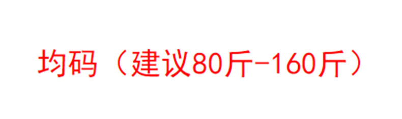 verhouse 两面穿百褶裙女士网纱A字长裙春季新款长裙 百搭