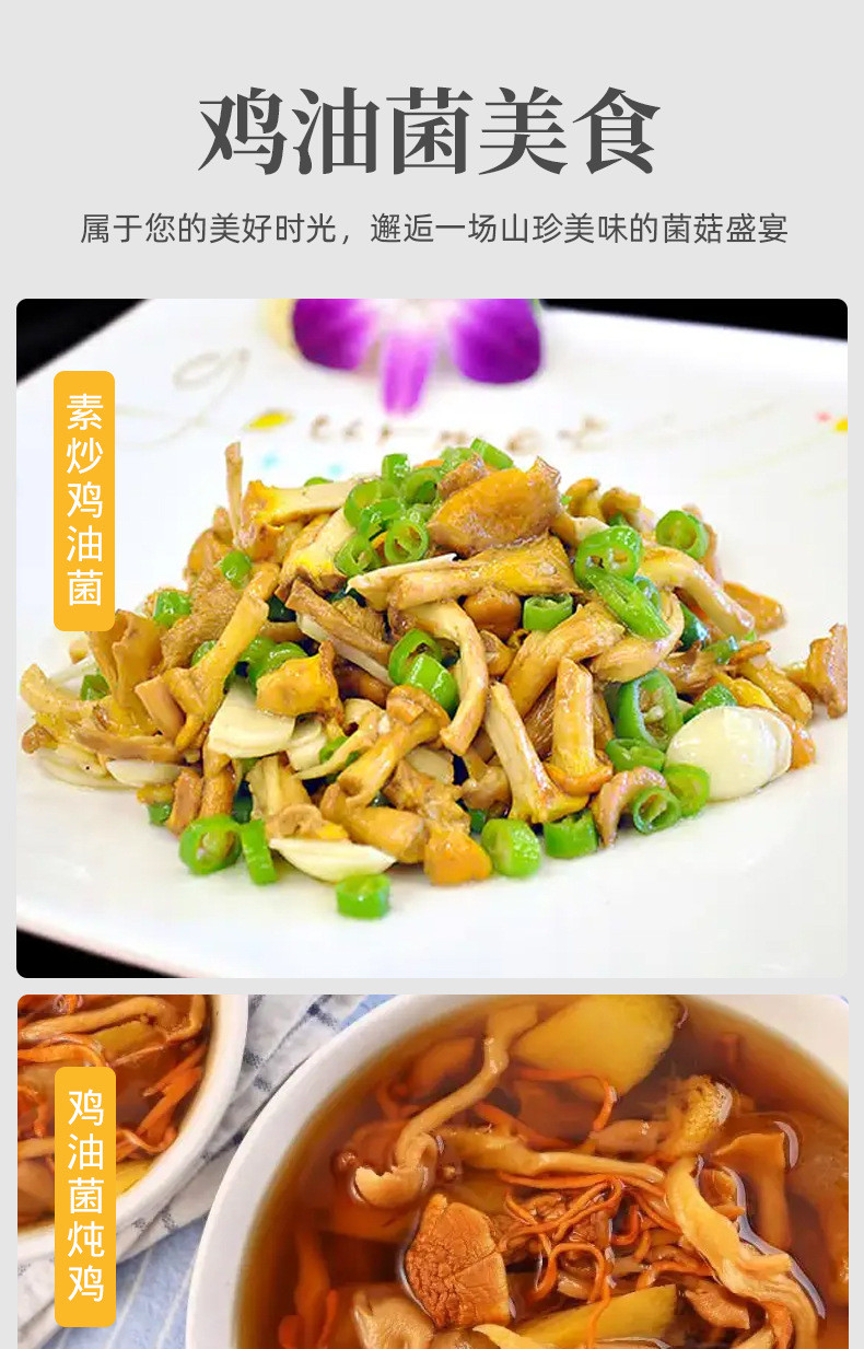 滇闽家人 鸡油菌干蘑菇黄丝菌食用菌榆黄菇干货杏黄菇 嫩脆鲜美