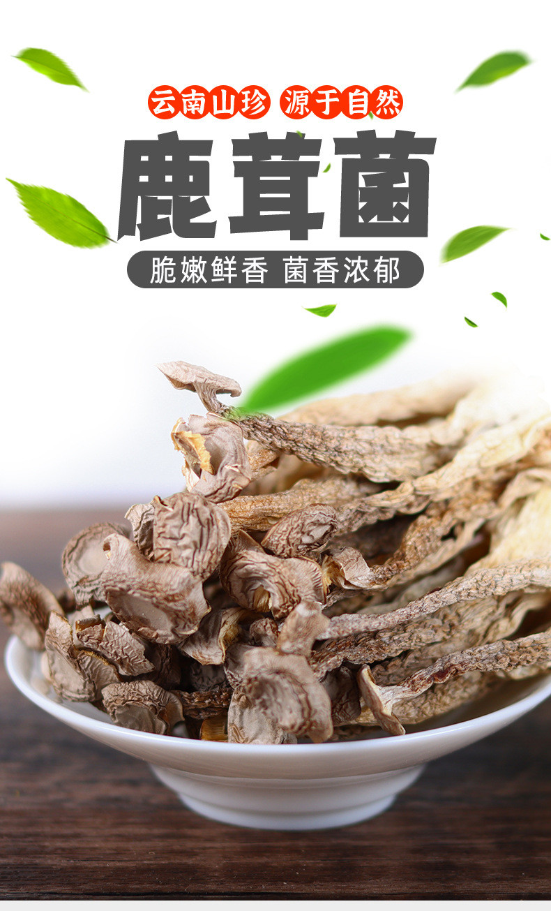 滇闽家人 鹿茸菇干货100g/袋脆菌菇煲汤蘑菇特产 肉质饱满