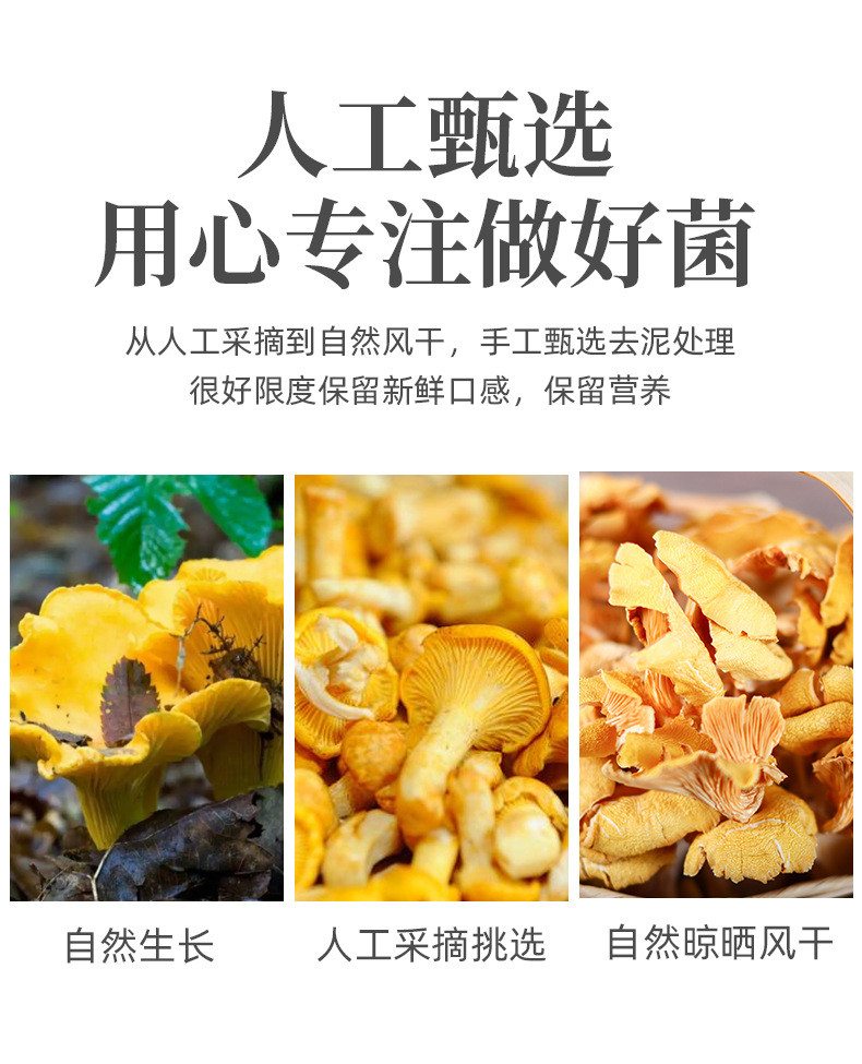 滇闽家人 鸡油菌干蘑菇黄丝菌食用菌榆黄菇干货杏黄菇 嫩脆鲜美