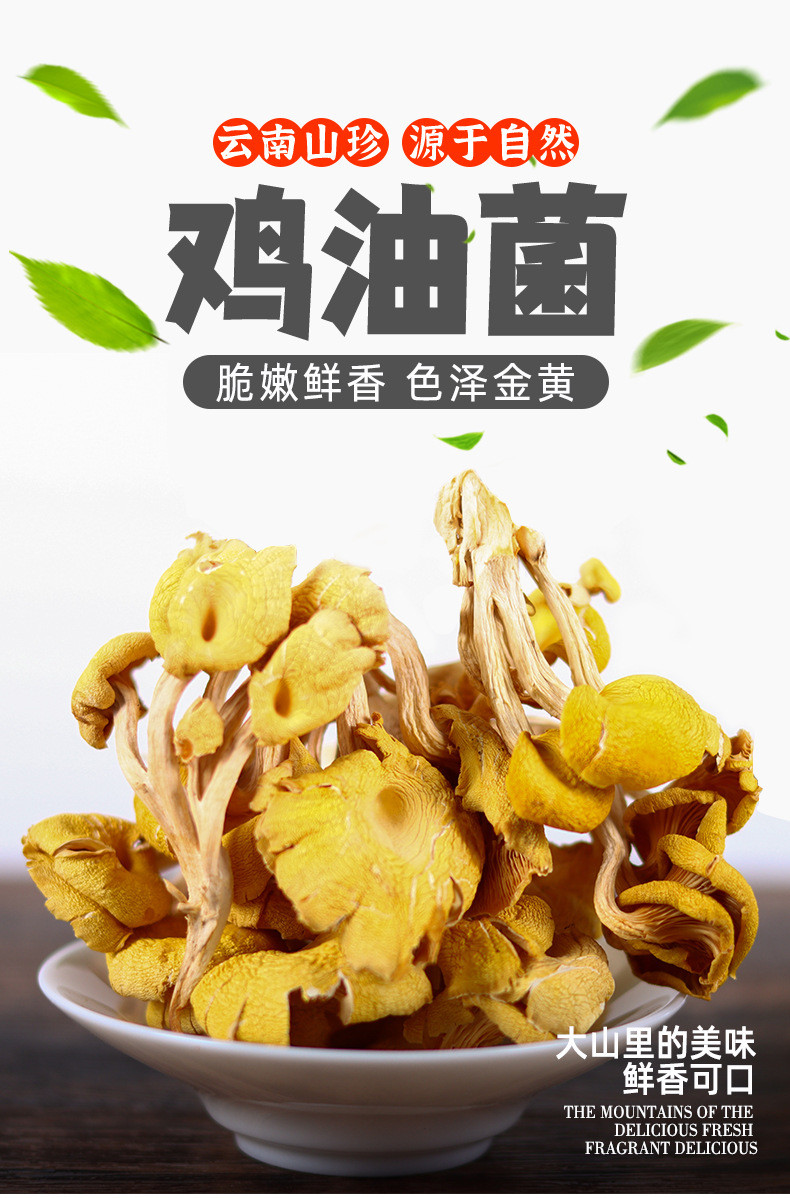 滇闽家人 鸡油菌干蘑菇黄丝菌食用菌榆黄菇干货杏黄菇 嫩脆鲜美