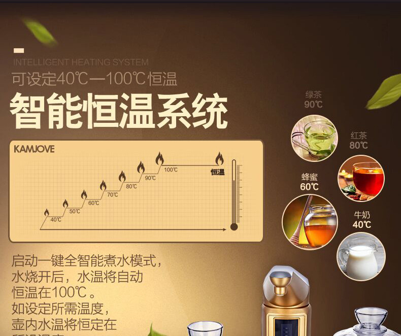 金灶 茶壶全智能自动上水茶水壶 烧水壶茶具泡茶壶 G9 香槟金