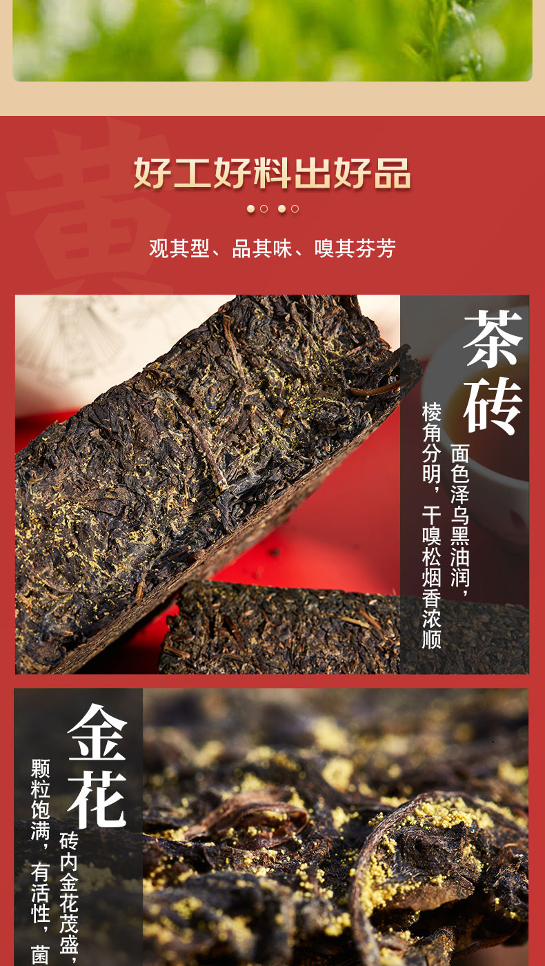 湘西保靖黄金茶茶婆峰茯贵花开1000g简装