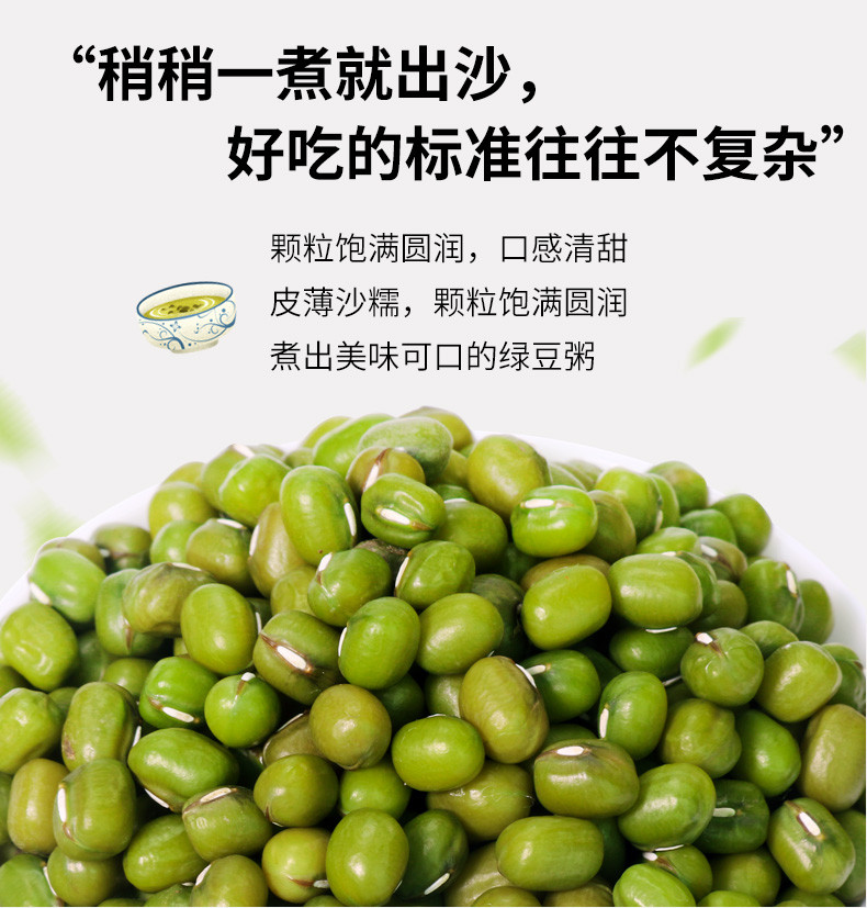 久亿丰谷 【新人】绿豆500g 新鲜农家绿豆粮油颗粒饱满肉多皮薄