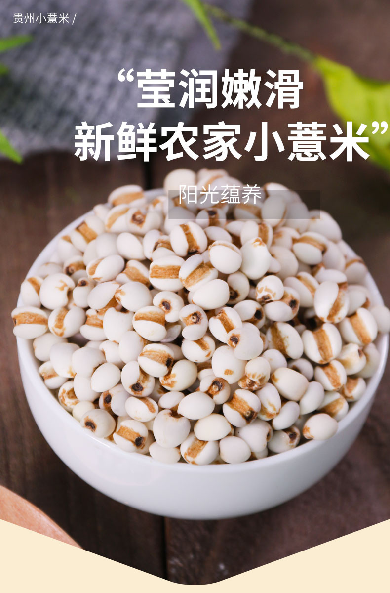 九鲤湖 【每日半价】九鲤湖 新鲜贵州小薏米500g 薏米仁薏仁米苡仁五谷杂粮粗粮油