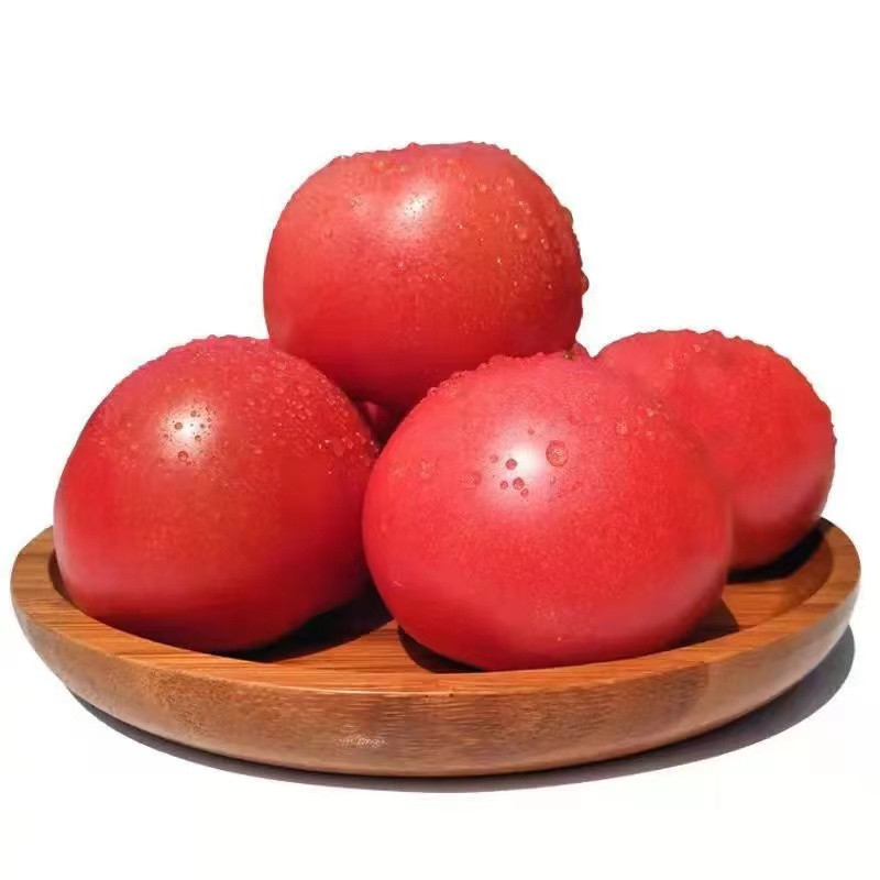 东义老王头 沙瓤西红柿