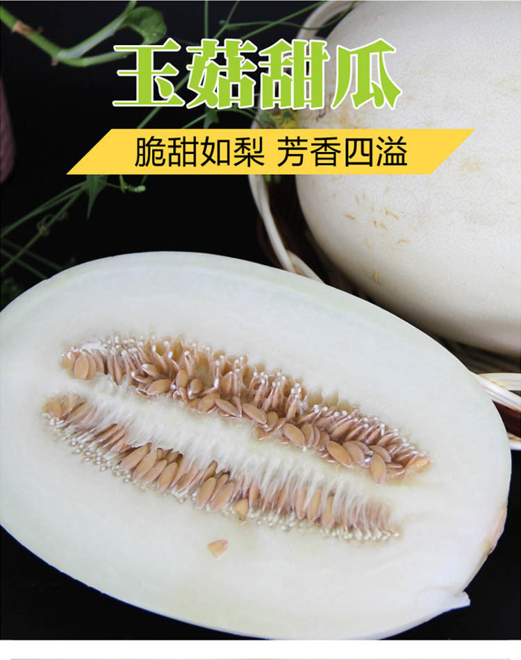 杞农优食 山东玉菇甜瓜4.5-5斤  2个装