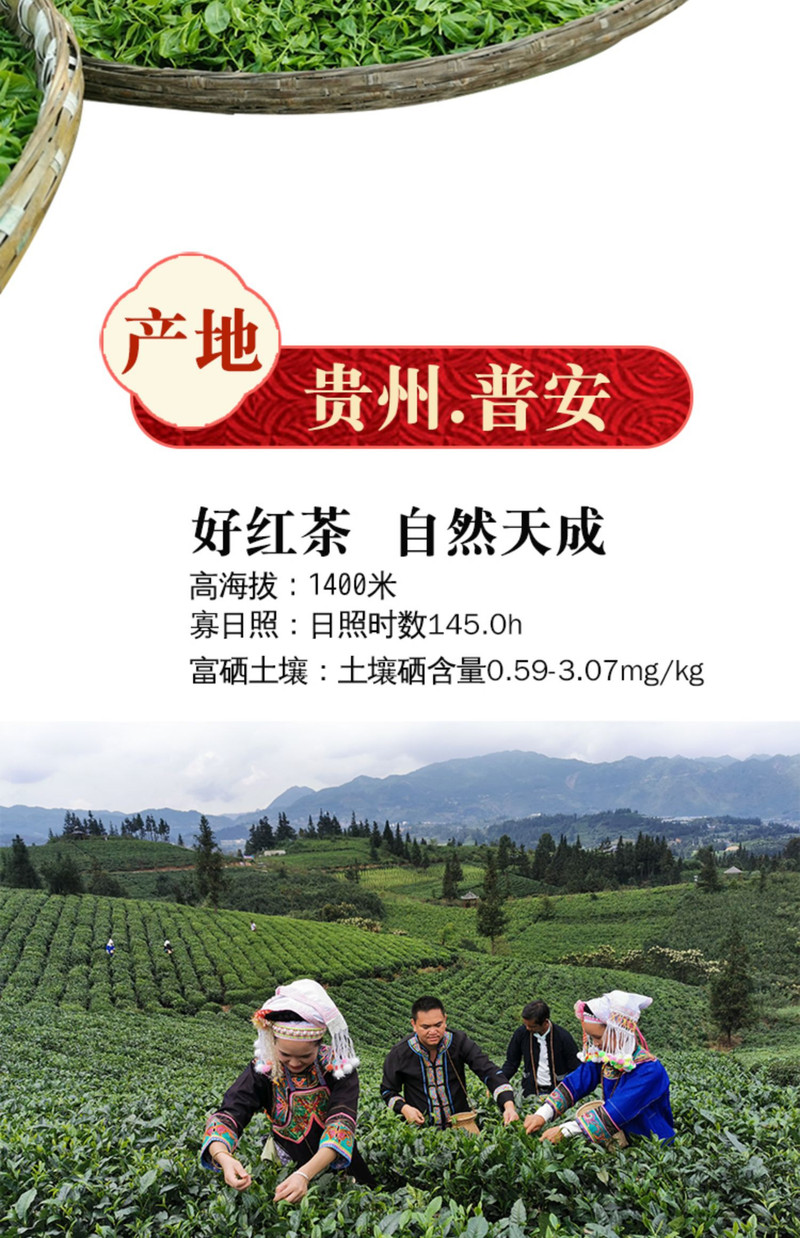 蛮邦贡春 ·竹 普安红茶二级100g 功夫茶