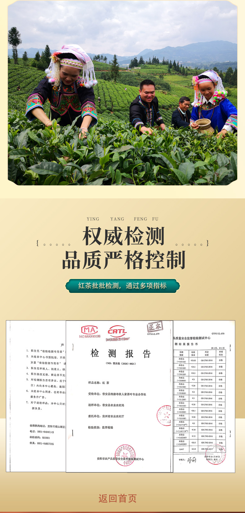 蛮邦贡春 金丝红 普安红茶特级250g