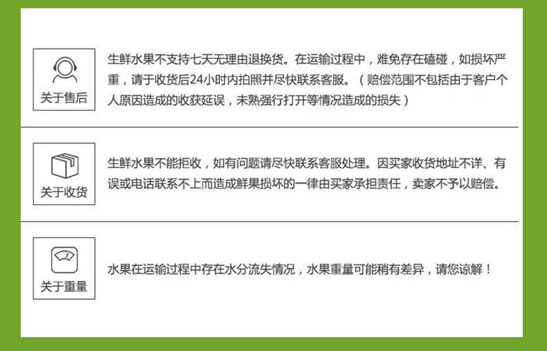 【9-10斤】哈密瓜水果西州蜜瓜小蜜网纹瓜甜瓜晓蜜瓜新鲜水果【小老头美食】