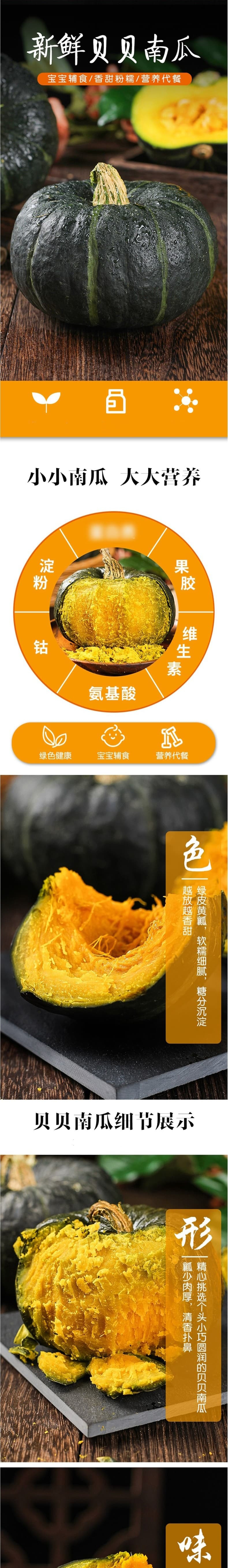  感知起源 贝贝南瓜 新鲜板栗味带箱 9斤