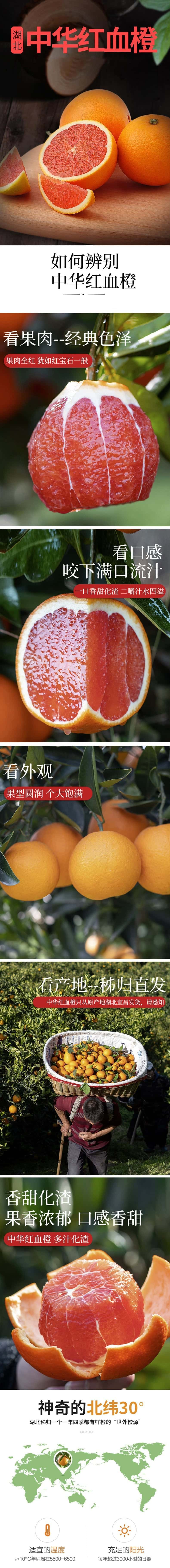 感知起源 中华红血橙 精品红心橙子【单果75-80mm】带箱