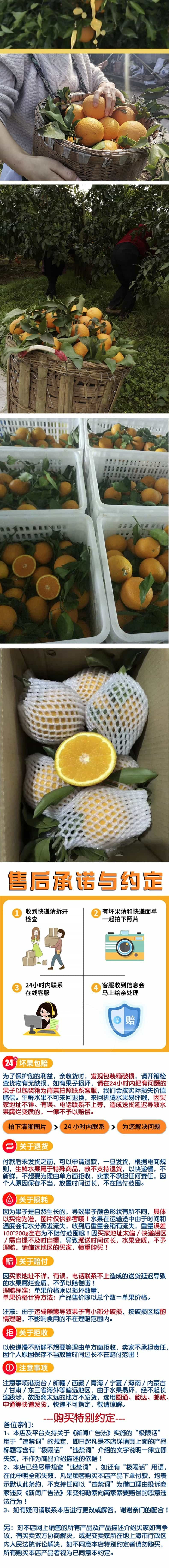 感知起源 青见果冻橙柑橘橙【75-80mm】果园直发带箱