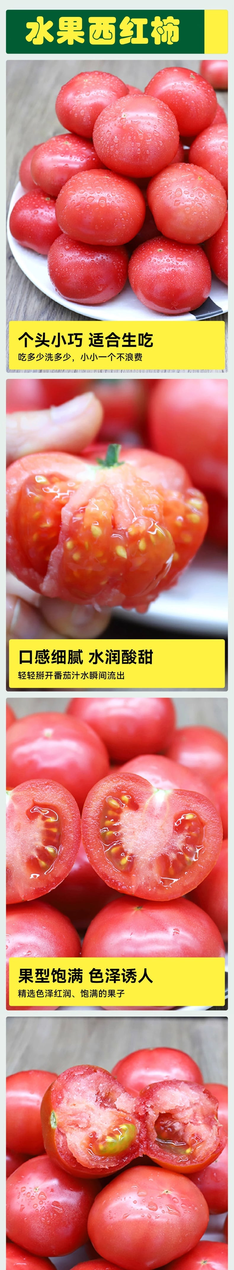  感知起源 【顺丰】水果西红柿沙瓤番茄 基地直发带箱