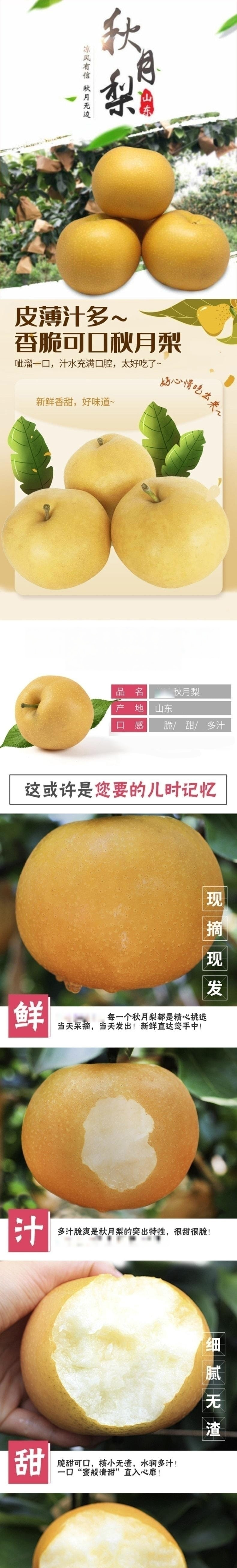  感知起源 秋月梨 精品装【单果克重300g+】果园直发带箱