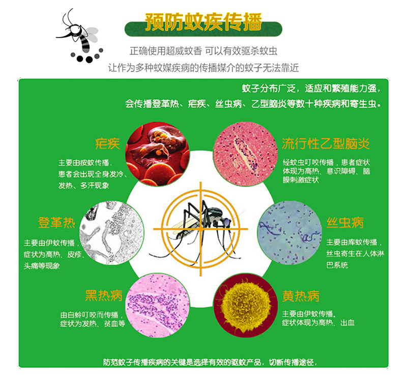 超威 【送接灰盘2个】艾草蚊香30圈*2盒艾草驱蚊安全长效