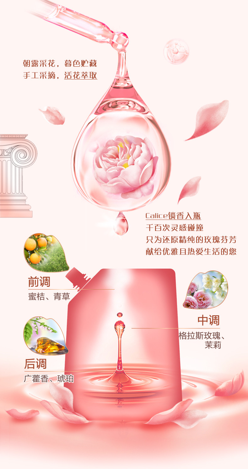 立白 大师香氛洗衣液1kg*2瓶+卫仕除菌洗衣液1kg*2瓶 留香