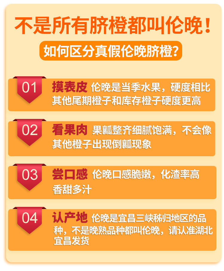 【橙中之皇】湖北宜昌伦晚脐甜春橙子新鲜应季水果礼盒装精品果