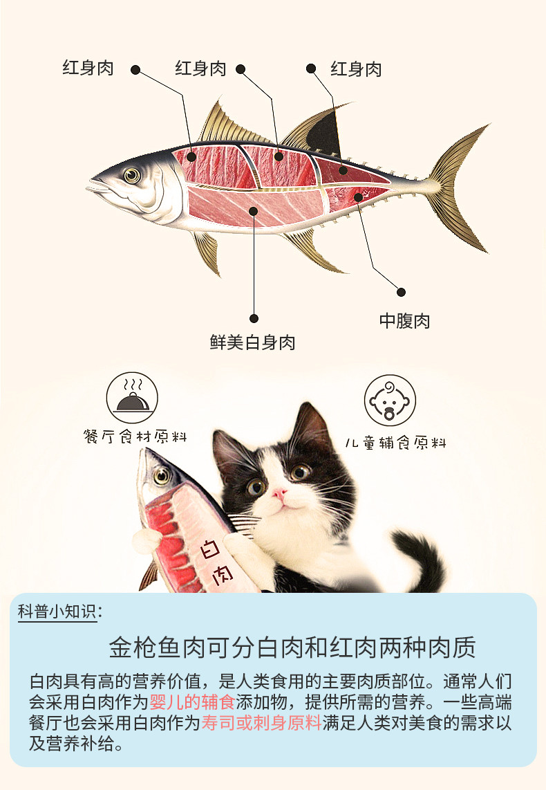 妙爽猫罐头170g*5/170g*10猫咪零食湿粮 成猫幼猫猫罐头 全阶段猫零食