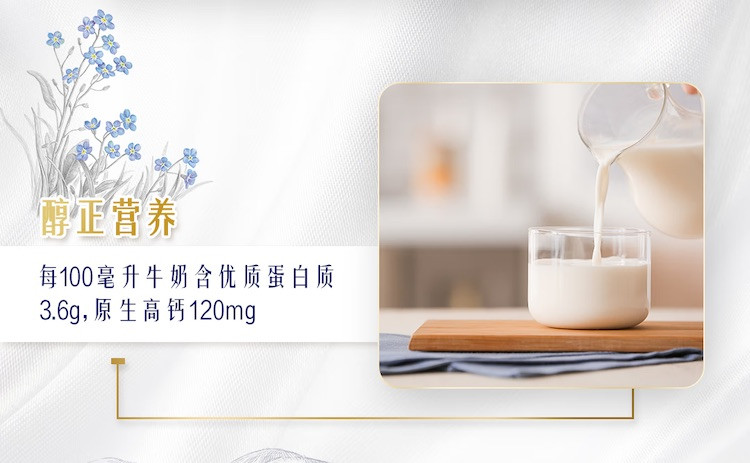 特仑苏 纯牛奶250ml×12包苗条装