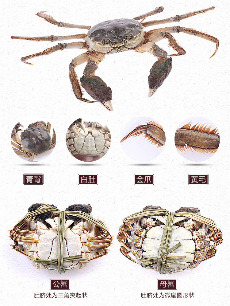 湖锦鲜 大闸蟹1088型卡券 8只（公蟹4只母蟹4只）