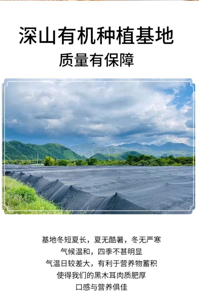 金唐 有机黑木耳400g 干货新鲜特产级非东北黑木耳小碗耳秋耳黑木耳