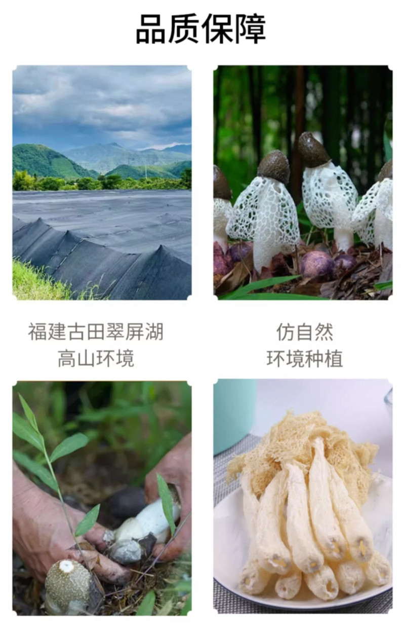 金唐 竹荪20g 干货新鲜非特产级农家食用菌菇干竹笙煲汤古田特产