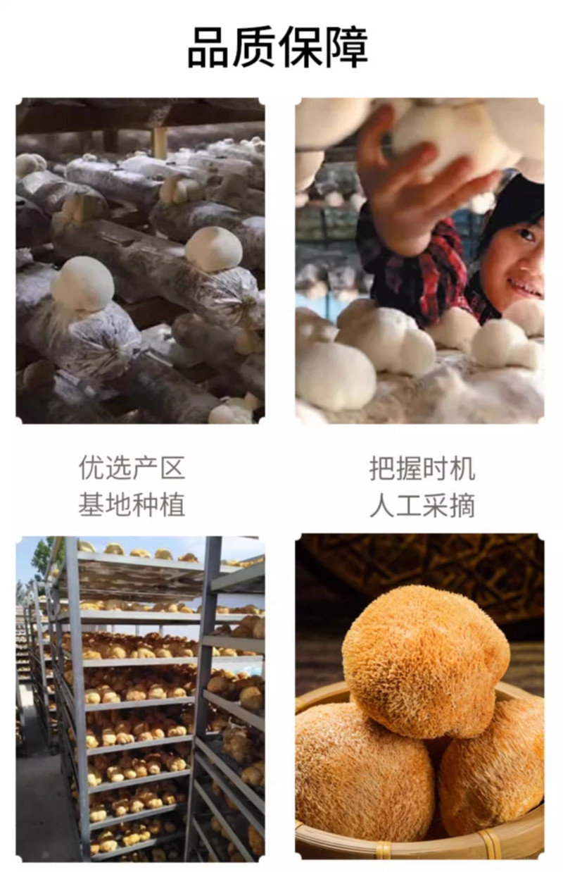  金唐 猴头菇200g 1袋 猴头王猴头蘑菇 猴头菌特产食用菌古田猴头