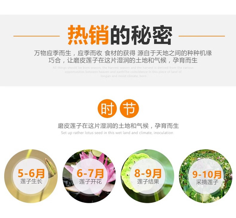 金唐 莲子磨皮干货218g*2袋 银耳莲子羹材料去芯湘莲白莲寸三莲白